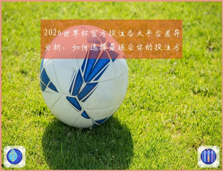 2026世界杯官方投注各大平台差异分析，如何选择最适合你的投注方式