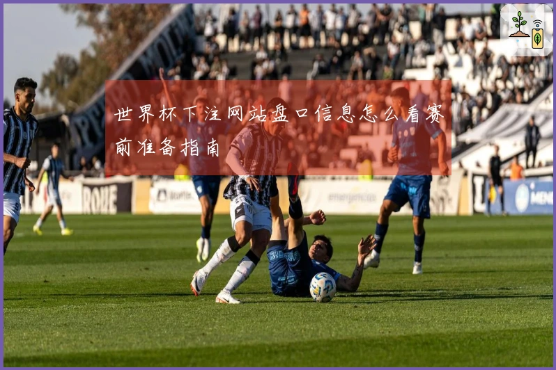 世界杯下注网站盘口信息怎么看赛前准备指南