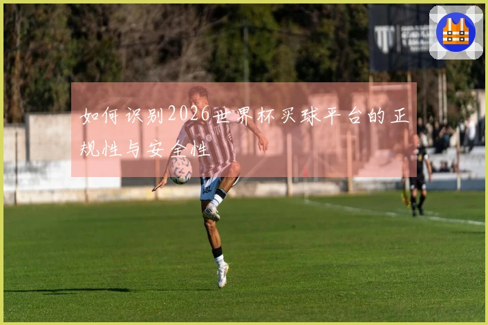 如何识别2026世界杯买球平台的正规性与安全性