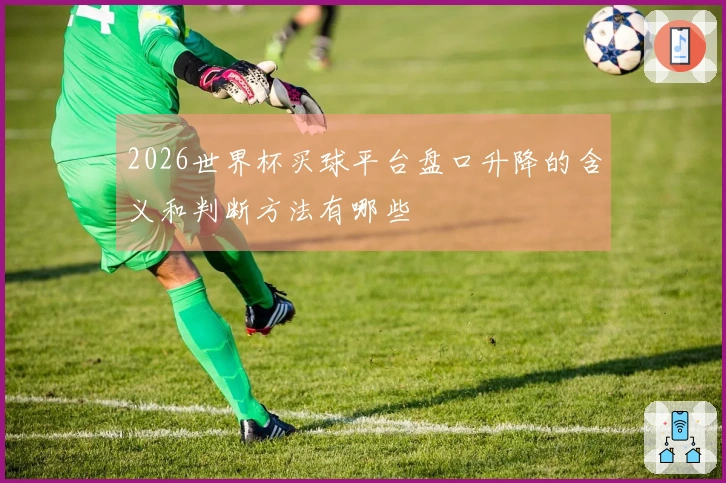 2026世界杯买球平台盘口升降的含义和判断方法有哪些
