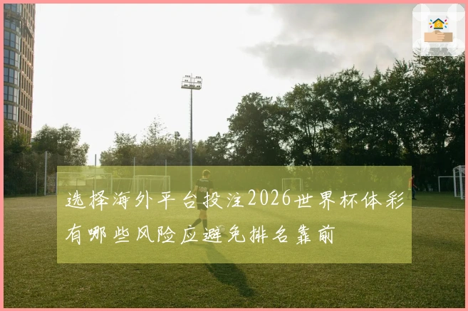 选择海外平台投注2026世界杯体彩有哪些风险应避免排名靠前