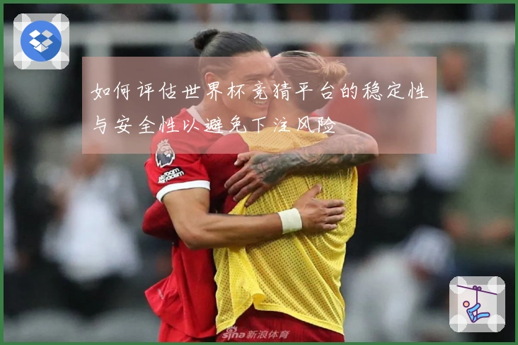 如何评估世界杯竞猜平台的稳定性与安全性以避免下注风险