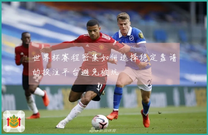 世界杯赛程密集如何选择稳定靠谱的投注平台避免被坑